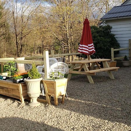 Welcome To Osborne Creek! Harpursville 외부 사진